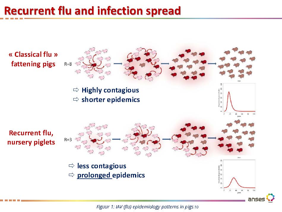 220119.Figure 1 IAV (flu) epidemiology patterns in pigs